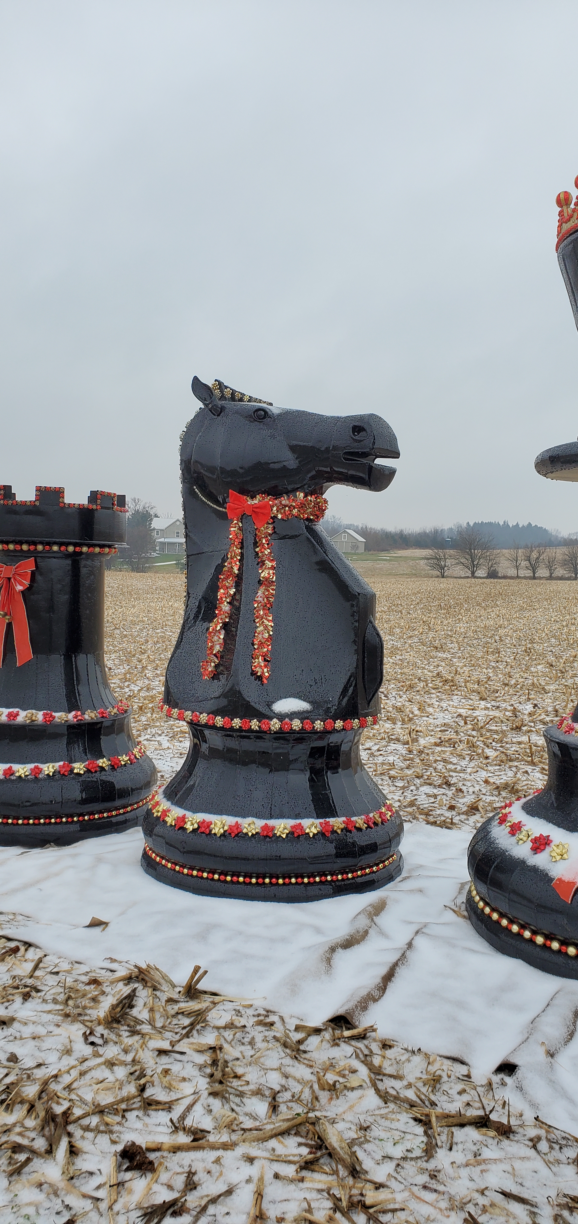 Chess sculptor Tim Myers featured on Fox 43